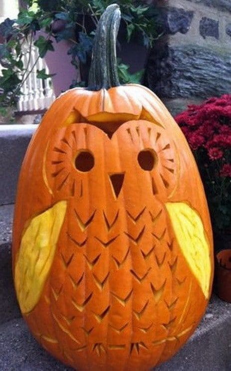 Detailed Halloween Pumpkin A highly detailed and spooky Halloween pumpkin carving