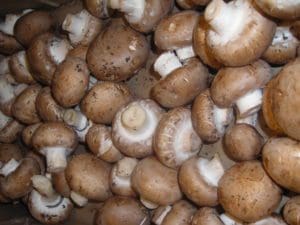Cremini Mushrooms Gardenfrontier Cremini Mushrooms