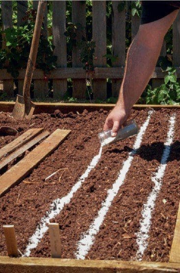 prepare beds for sowing Gardenfrontier prepare beds for sowing