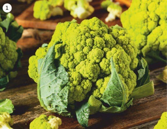 Broccoflower Gardenfrontier Broccoflower
