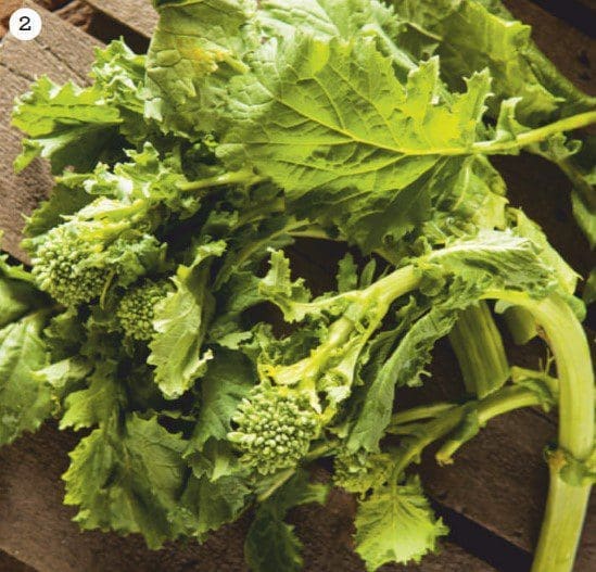 Broccoli raab Gardenfrontier Broccoli raab