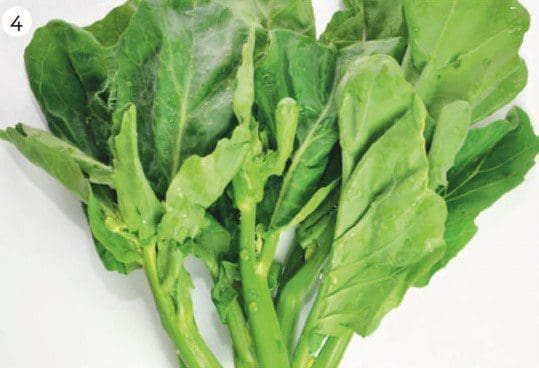 Chinese broccoli Gardenfrontier Chinese broccoli
