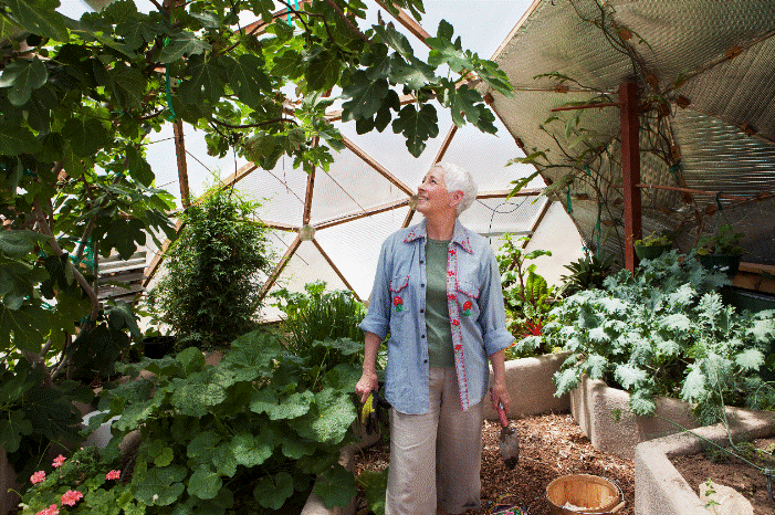 Climate Proof Your Garden Gardenfrontier Climate Proof Your Garden