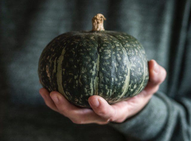 Green Pumpkins Gardenfrontier Green Pumpkins