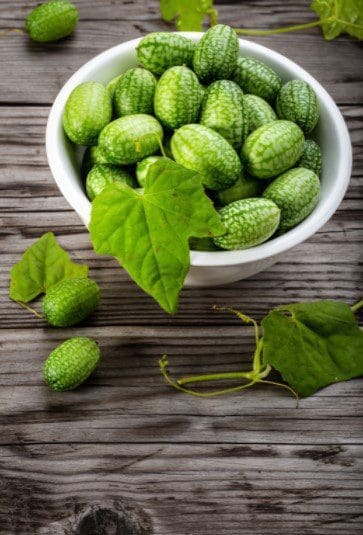 Cucamelons on Table Gardenfrontier Cucamelons on Table