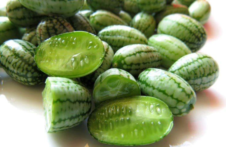 Cucamelons Gardenfrontier Cucamelons