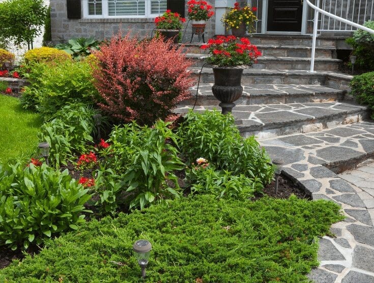 ornamental garden Gardenfrontier ornamental garden