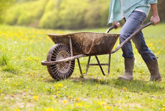 Wheelbarrow 2022 Gardenfrontier Wheelbarrow 2022