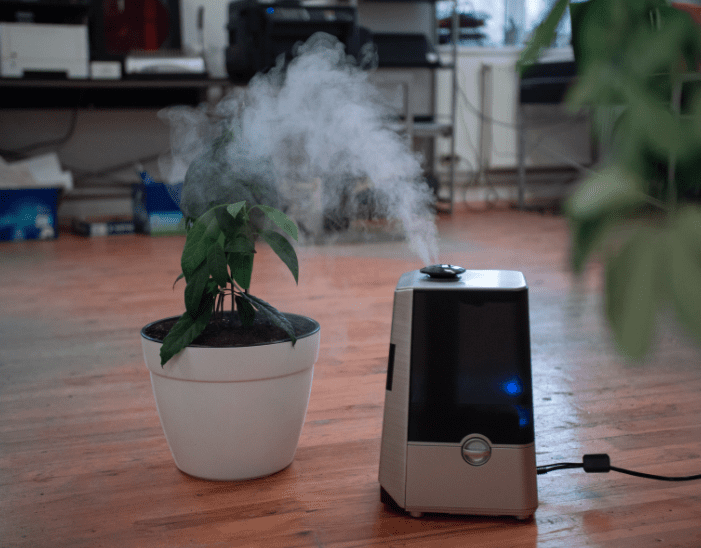 Do Plants Like Humidifiers Gardenfrontier Do Plants Like Humidifiers