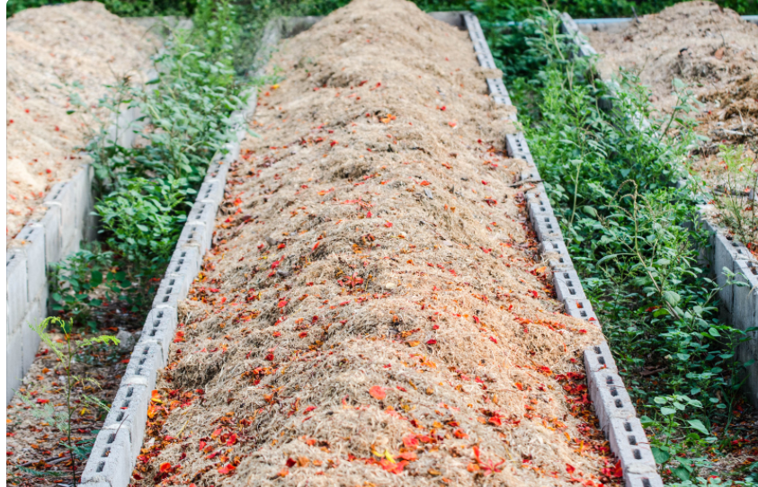 Compost Tea Gardenfrontier Compost Tea