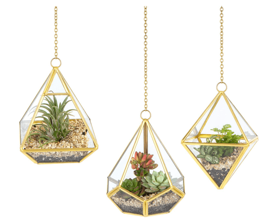 Mkono 3 Pcs Small Hanging Glass Terrarium Gardenfrontier Mkono 3 Pcs Small Hanging Glass Terrarium