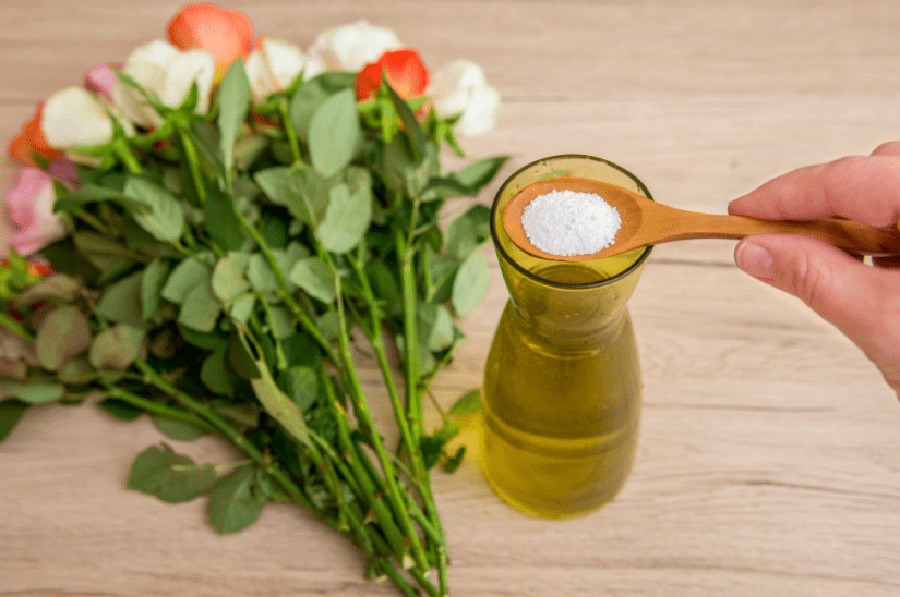 Steps To Keep Cut Flowers Fresh Longer Gardenfrontier Steps To Keep Cut Flowers Fresh Longer