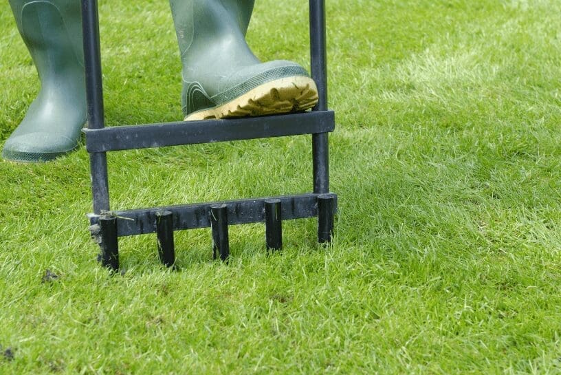 Ways To Accelerate Grass Growth Gardenfrontier Ways To Accelerate Grass Growth