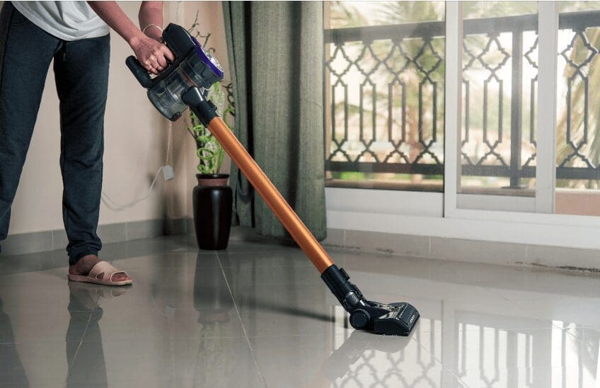 Absolute Vs Animal Dyson Gardenfrontier Absolute Vs Animal Dyson