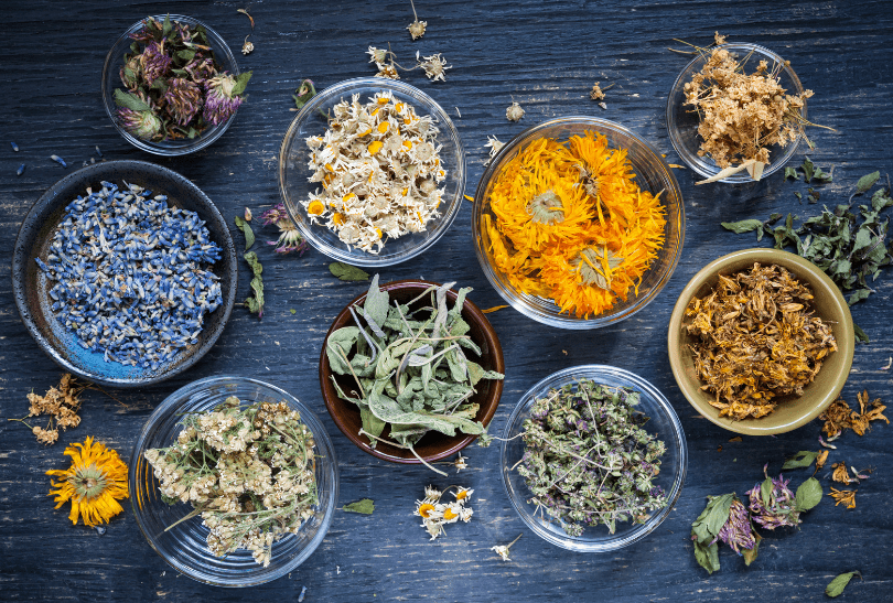 Herbs That Naturally Purify Your Home Gardenfrontier A collection of fresh green herbs in small pots used for purifying home air