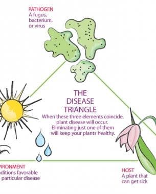 diseasetriangle Gardenfrontier Illustration of the plant disease triangle host pathogen and environment