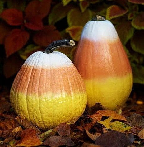 Unique Pumpkin Carving A unique and fun pumpkin carving design