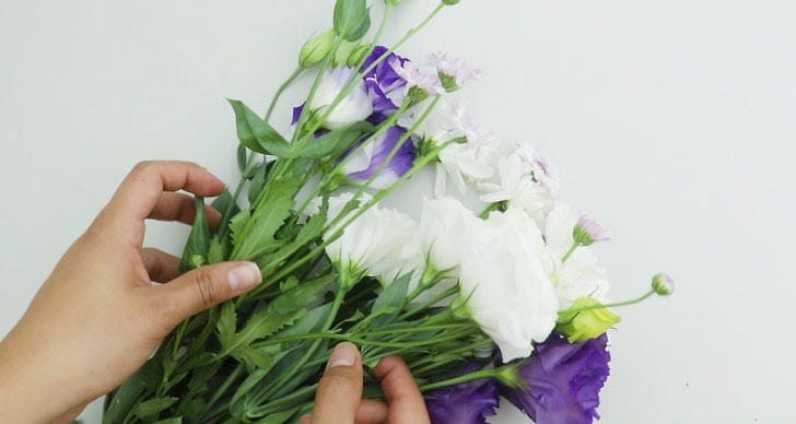 Stripping leaves from a flower stem Gardenfrontier A close up of hands stripping green leaves off a fresh flower stem