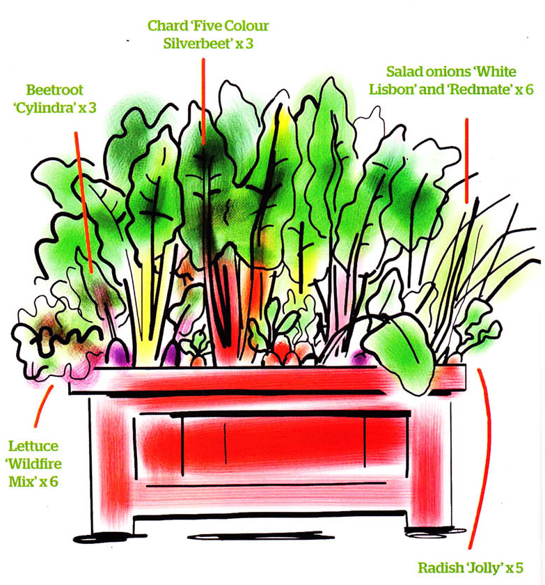 A lush Back Door Vegetable container garden Gardenfrontier A beautiful wooden patio planter box overflowing with colorful summer vegetables