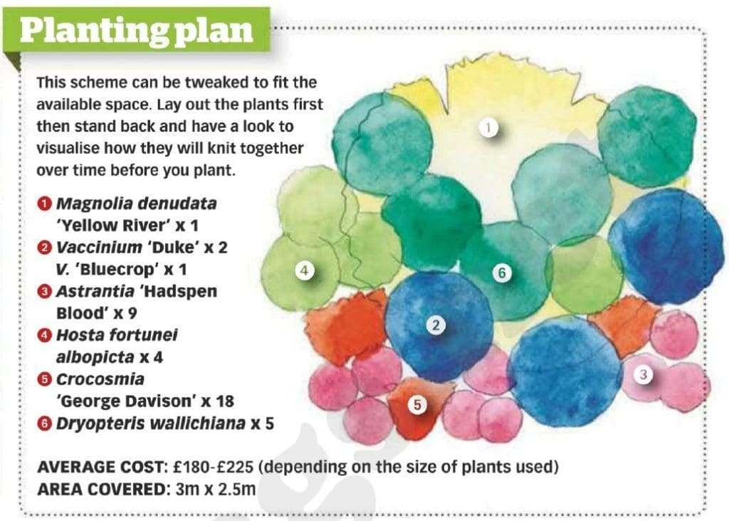 what plants are acid loving Gardenfrontier what plants are acid loving