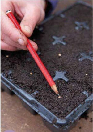 Step 2 Gardenfrontier Step 2
