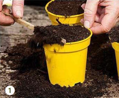 Step 1 Gardenfrontier Step1