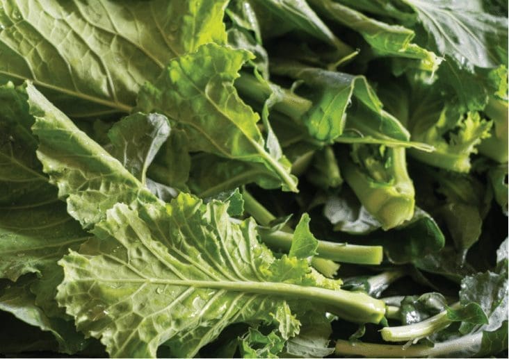 What Are The Fastest Growing Vegetables Gardenfrontier What Are The Fastest Growing Vegetables