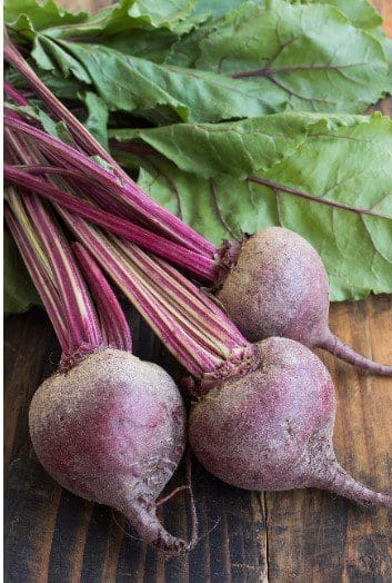Beetroot Gardenfrontier Beetroot