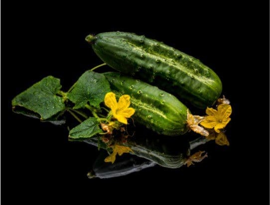 Cucumbers Gardenfrontier Cucumbers