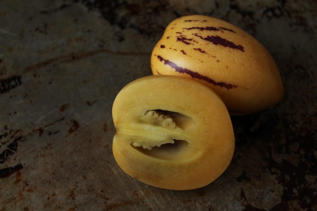 Pepino Melon Gardenfrontier Pepino Melon