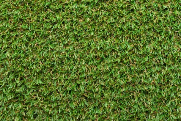 Bermuda Grass Gardenfrontier Bermuda Grass