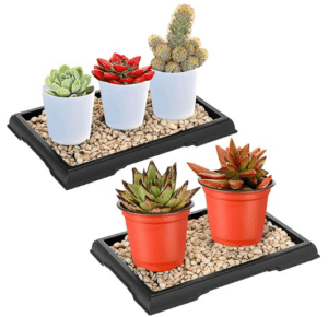 Pebble Tray Gardenfrontier Pebble Tray