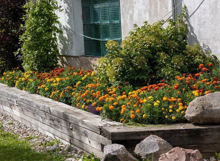 Flower Bed Gardenfrontier Flower Bed