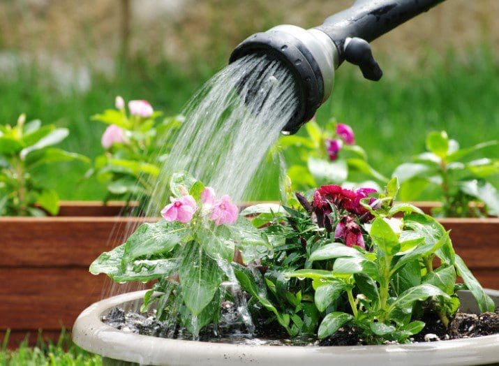 Watering Can Gardenfrontier Watering Can