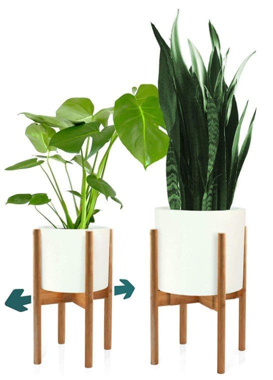 Fox Fern Plant Stand Gardenfrontier Fox Fern Plant Stand