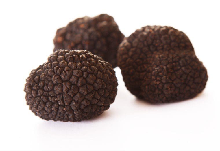 What Is Truffle Gardenfrontier What Is Truffle