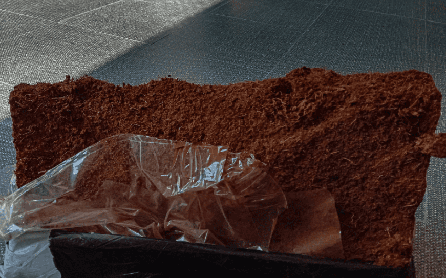 Coco Peat Blocks Gardenfrontier Compressed blocks of coco peat and loose coconut coir ready for gardening