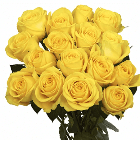 2 Dozen Yellow Roses Fresh Cut Flowers Gardenfrontier 2 Dozen Yellow Roses Fresh Cut Flowers