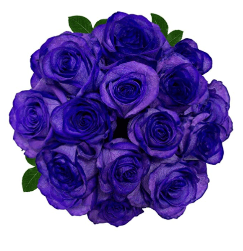 FRESH Tinted Roses Purple 25 stems Meteorite Rose Gardenfrontier FRESH Tinted Roses Purple 25 stems Meteorite Rose