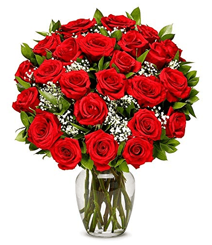 Two Dozen Long Stemmed Red Roses Gardenfrontier Two Dozen Long Stemmed Red Roses