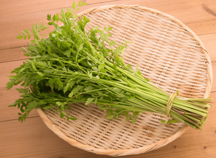 Japanese Parsley Gardenfrontier Japanese Parsley