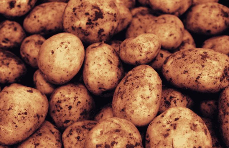 Potatoes Gardenfrontier Potatoes