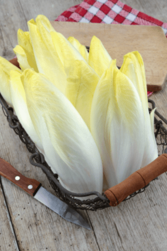 Endive Gardenfrontier Endive