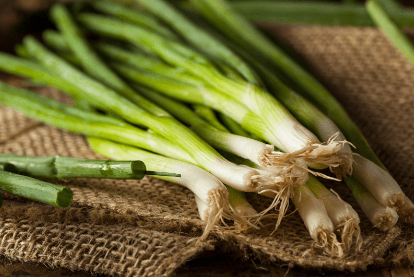 Green Onion Gardenfrontier Green Onion