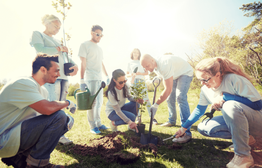 Plant A Peach Tree Gardenfrontier Plant A Peach Tree