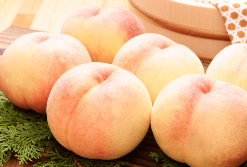 White Peach Gardenfrontier White Peach