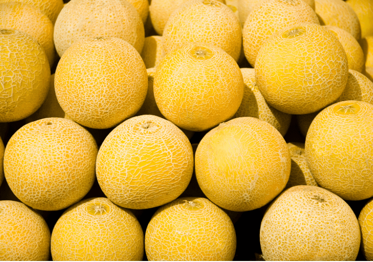 Yellow Melons Gardenfrontier Yellow Melons