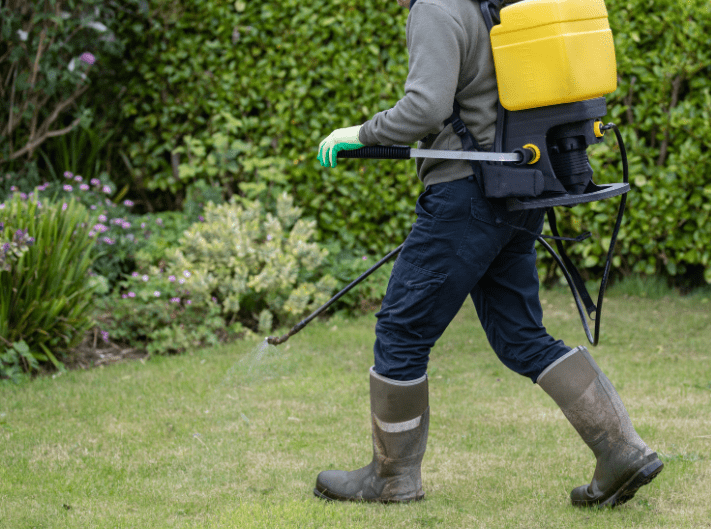 Best Weed Killer For Large Areas Gardenfrontier Best Weed Killer For Large Areas