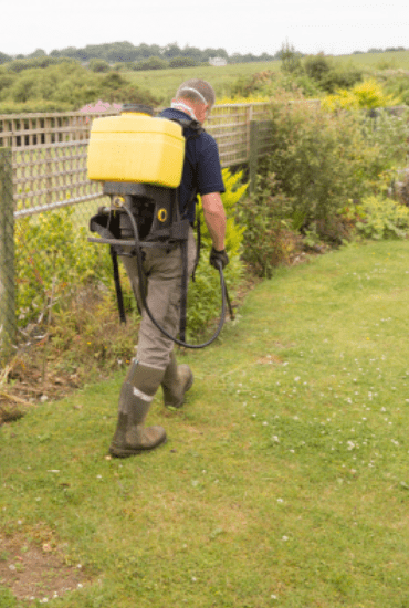 Best Weed Killer Gardenfrontier Best Weed Killer