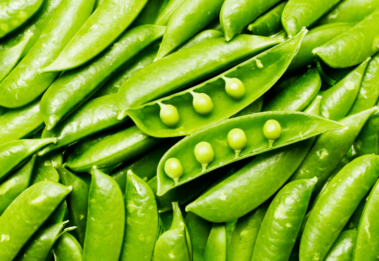 Snow Peas Gardenfrontier Snow Peas